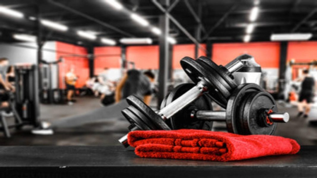 programme-de-musculation